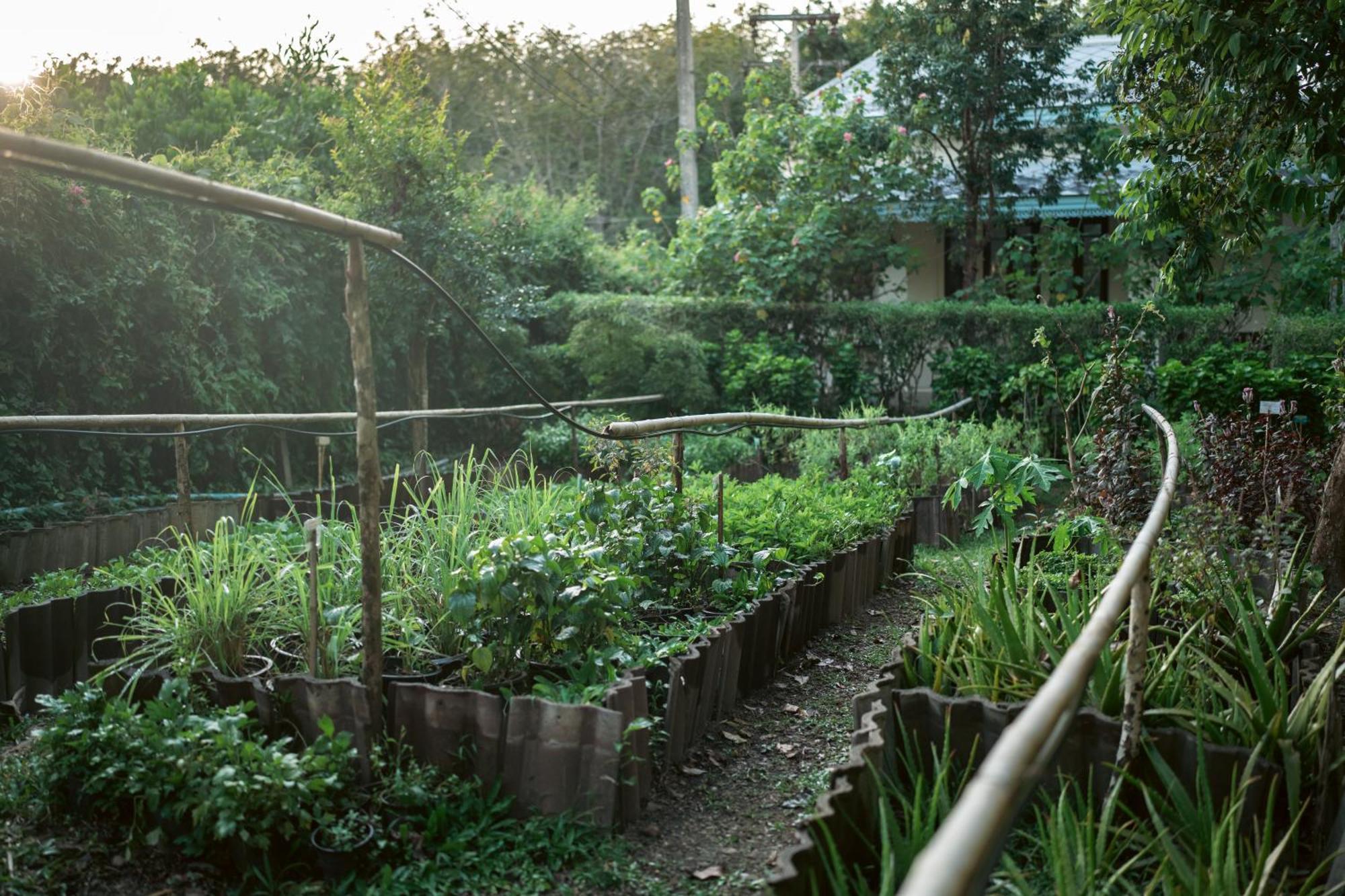 Ao Nam Mao Na Sook Wellness Resort מראה חיצוני תמונה